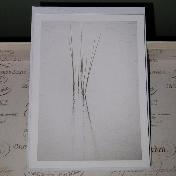 Packet of 8 Notecards - Adirondack Light 1 - Picture 4 of 14